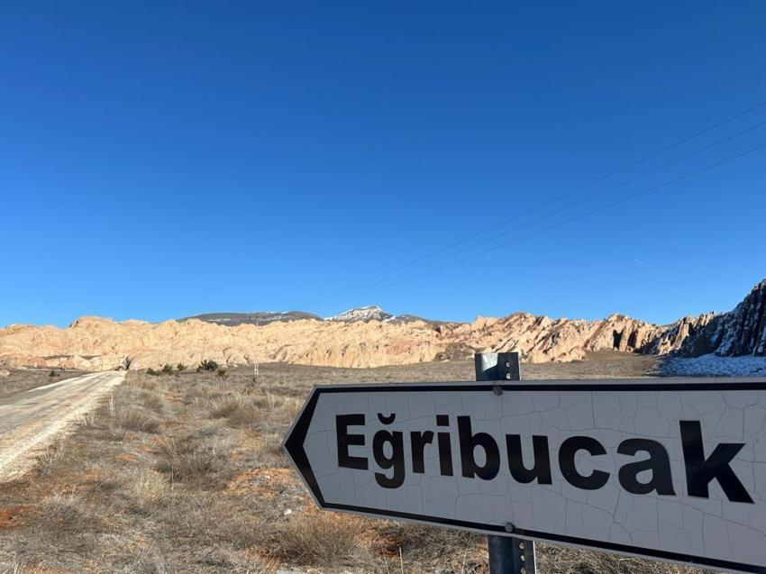 Nesli tükenme tehlikesindeki dağ keçileri, dünyadaki Mars'ta görüntülendiler!