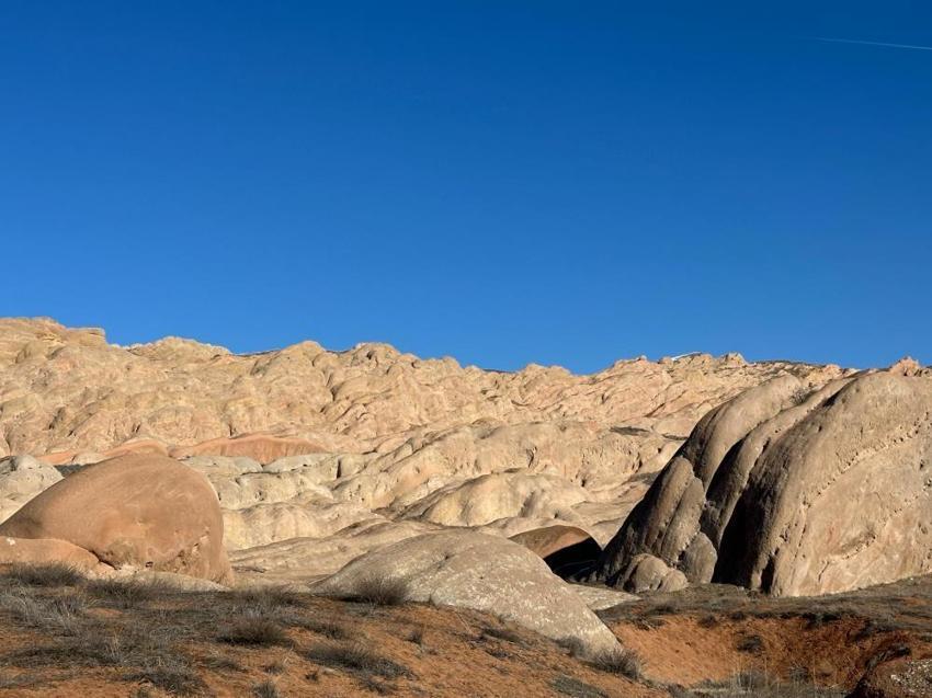 Nesli tükenme tehlikesindeki dağ keçileri, dünyadaki Mars'ta görüntülendiler!