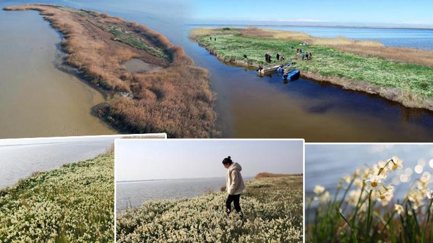 Adana’nın gizli cenneti Nergis Adası yok oluyor! 5 yılda gözle görülür oranda küçülme var: Bir an önce önlem alınması lazım