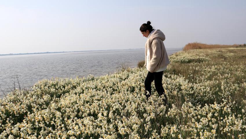 Nergis Adası yok oluyor! 'Bir an önce önlem alınması lazım'