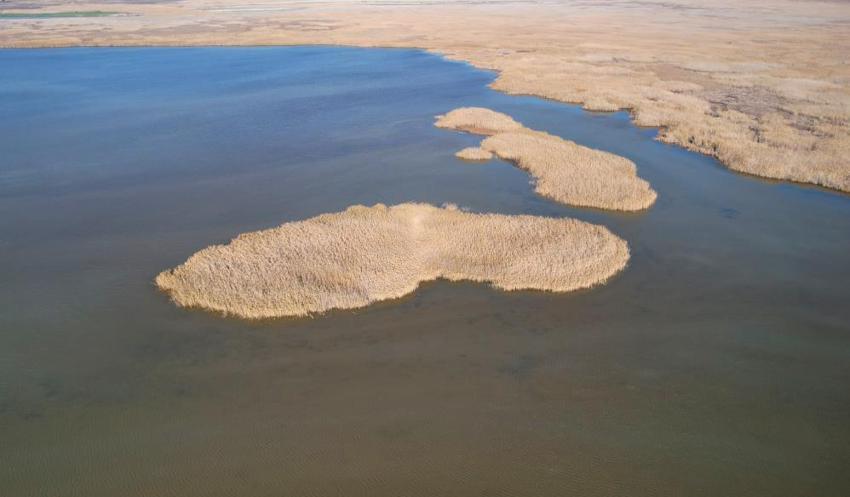 Nergis Adası yok oluyor! 'Bir an önce önlem alınması lazım'