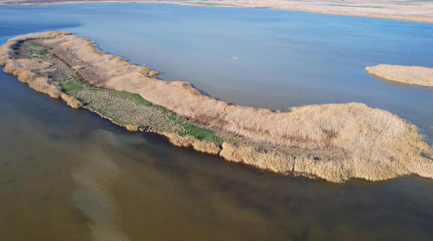 Nergis Adası yok oluyor! 'Bir an önce önlem alınması lazım'