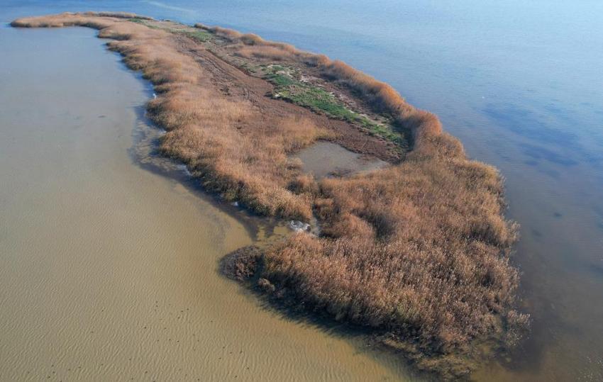 Nergis Adası yok oluyor! 'Bir an önce önlem alınması lazım'