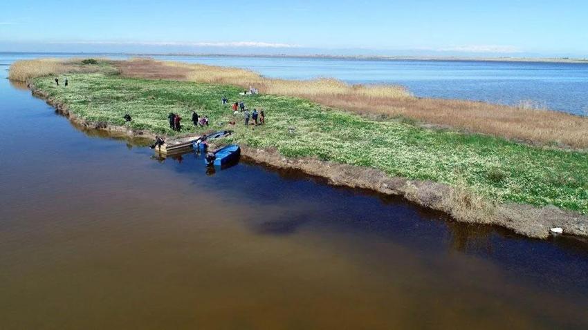 Nergis Adası yok oluyor! 'Bir an önce önlem alınması lazım'