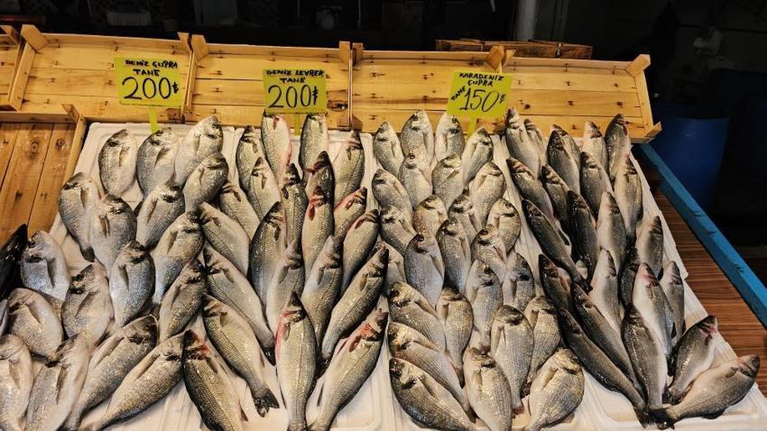 Balıkesir'de lodos balık tezgahlarını vurdu! Fiyatlar yükselişte