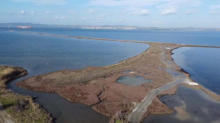 İklim değişikliğinin bu etkisini kimse böyle beklemiyordu! Çanakkale'de ortaya çıktı