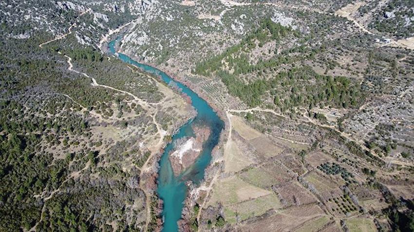 Antalya'da defne yaprağı hasadı köylülerin geçim kaynağı oldu: Avrupa'nın defne ihtiyacı Akseki'den karşılanıyor