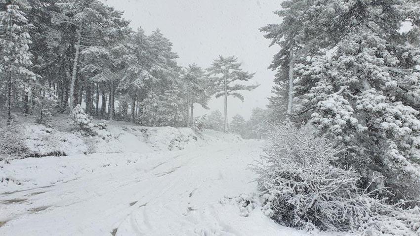 Sıcaklıklar 12 derece birden düşecek lapa lapa kar yağışı gelecek! Meteoroloji illeri uyardı: Dondurucu soğuklar 1 hafta sürecek