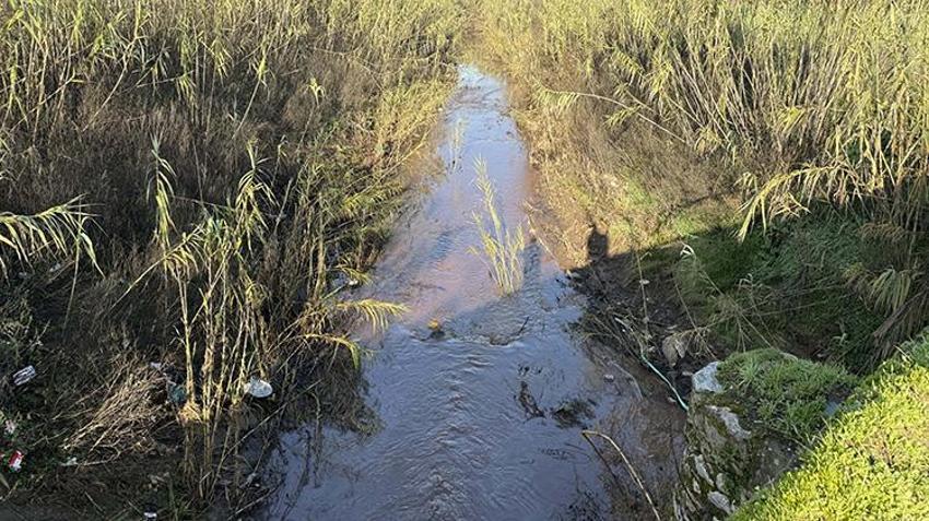 Bafa Gölü'nde kirlilik alarmı: yağışlar sorunu çözemedi