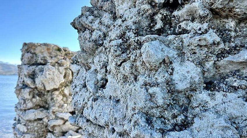 Keban Barajı'nda sular çekildi 2 bin 800 yıllık tarih ortaya çıktı! Pertek Kalesi'nin gizemli tarihine ışık tutacak