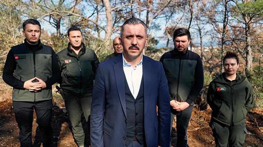 Antalya’da ormanları ele geçiren büyük tehlike! 3 - 4 milimetre 15 günde ağacı kurutuyor