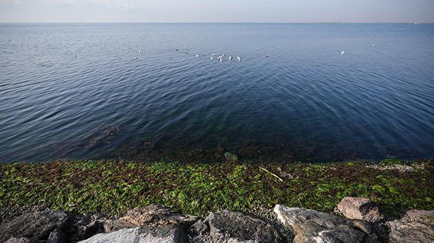 Ege Denizi'ndeki deprem sonrası Prof. Dr. Naci Görür'den korkutan açıklama: Tsunami olabilir, o illere dikkat