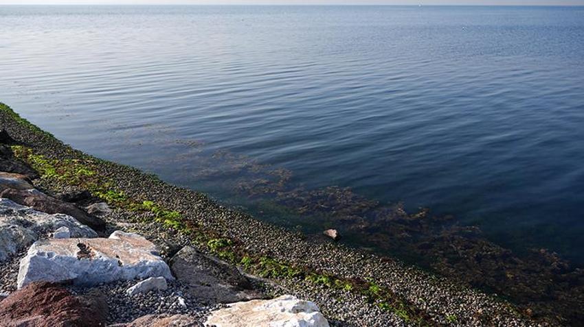 Ege Denizi'ndeki deprem sonrası Prof. Dr. Naci Görür'den korkutan açıklama: Tsunami olabilir, o illere dikkat