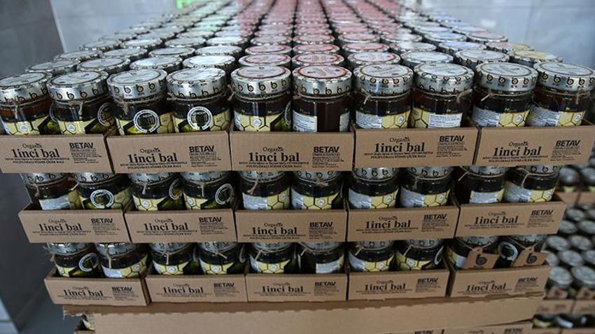 Bitlis'teki bu tesis sayesinde binlerce öğrenci burs imkanı kazanıyor