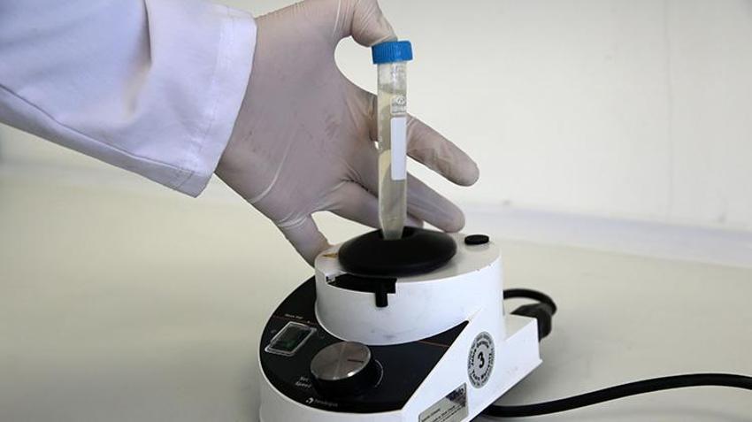 Bitlis'teki bu tesis sayesinde binlerce öğrenci burs imkanı kazanıyor