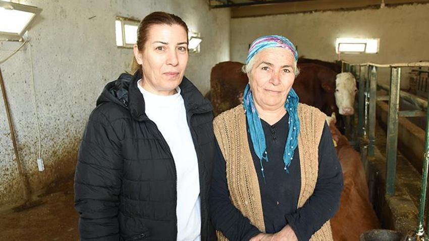 Tarım ve Orman Bakanlığı hayvancılık desteklerini 2025 yılında da artırarak devam ettiriyor! Malatya'da hayvanları telef olan vatandaşlar hayvancılık desteklerinden faydalandı