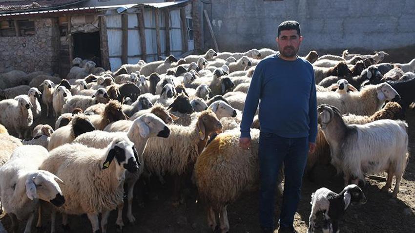 Tarım ve Orman Bakanlığı hayvancılık desteklerini 2025 yılında da artırarak devam ettiriyor! Malatya'da hayvanları telef olan vatandaşlar hayvancılık desteklerinden faydalandı