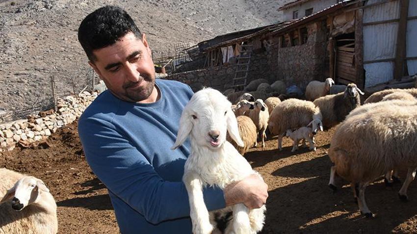 Tarım ve Orman Bakanlığı hayvancılık desteklerini 2025 yılında da artırarak devam ettiriyor! Malatya'da hayvanları telef olan vatandaşlar hayvancılık desteklerinden faydalandı