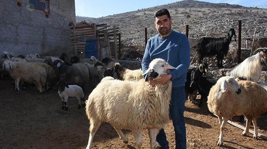 Tarım ve Orman Bakanlığı hayvancılık desteklerini 2025 yılında da artırarak devam ettiriyor! Malatya'da hayvanları telef olan vatandaşlar hayvancılık desteklerinden faydalandı