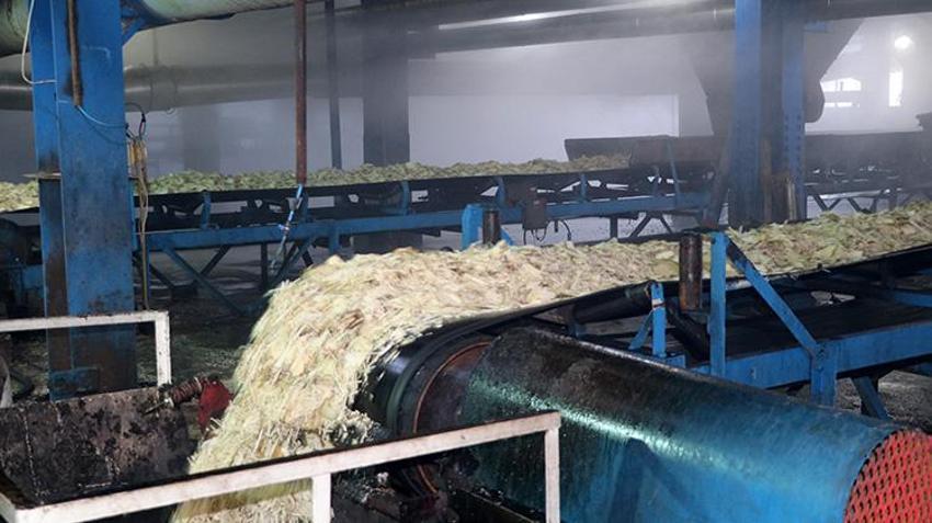 Açılışını Adnan Menderes yaptı! 70 yaşındaki şeker fabrikası tam kapasite üretime devam ediyor