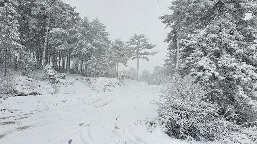 Meteoroloji'den kuvvetli kar yağışı ve fırtına uyarısı: Birçok ilde okullar tatil edildi! Bu illere dikkat