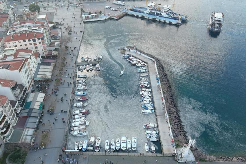 Çanakkale Boğazı'nda müsilaj kabusu geri döndü! Denizin dibindeki canlılar tehlike altında