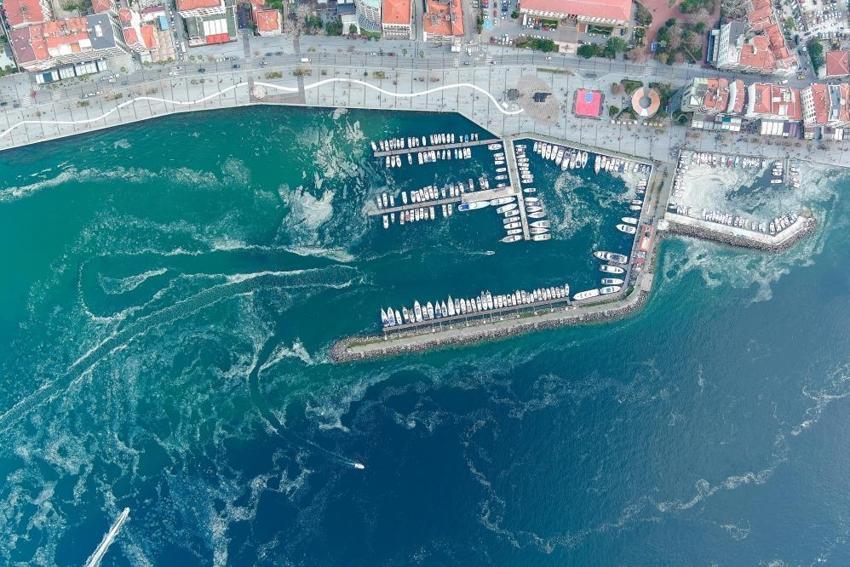 Çanakkale Boğazı'nda müsilaj kabusu geri döndü! Denizin dibindeki canlılar tehlike altında