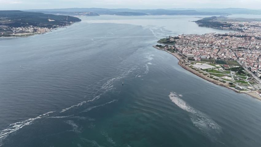 Çanakkale Boğazı'nda müsilaj kabusu geri döndü! Denizin dibindeki canlılar tehlike altında