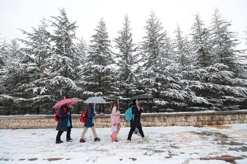 Meteoroloji ve AKOM uyardı: Yeni haftada İstanbul'a lapa lapa yağacak! Buzlanma ve don olaylarına dikkat