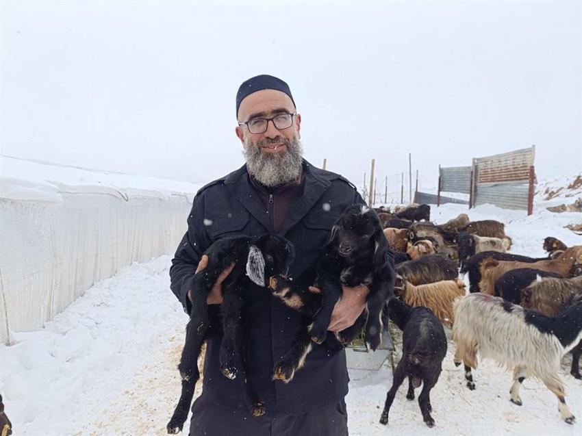 Şehir hayatından sıkılıp köyüne döndü, hayvancılığa başladı