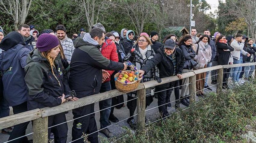 Türkiye'de doğan ilk fil 'İzmir' 14. doğum gününü kutladı: