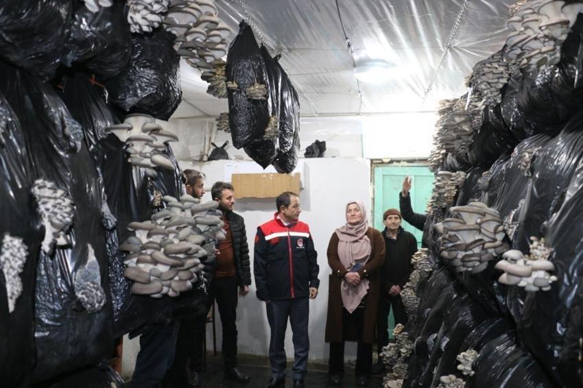 Erzincan halkına müjde! İlk kez üretimi yapılıyor: Evinin alt katında başardı