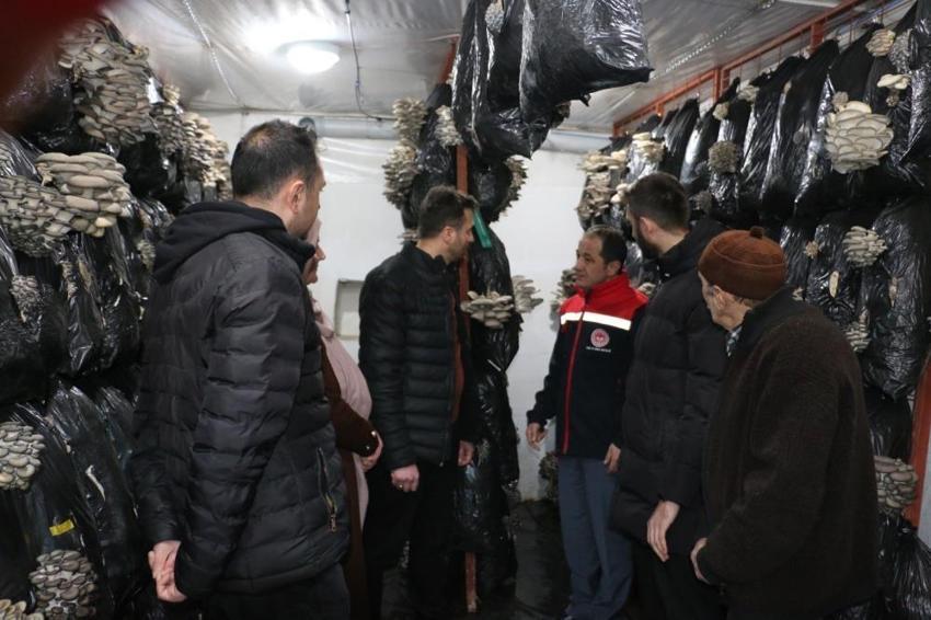 Erzincan halkına müjde! İlk kez üretimi yapılıyor: Evinin alt katında başardı