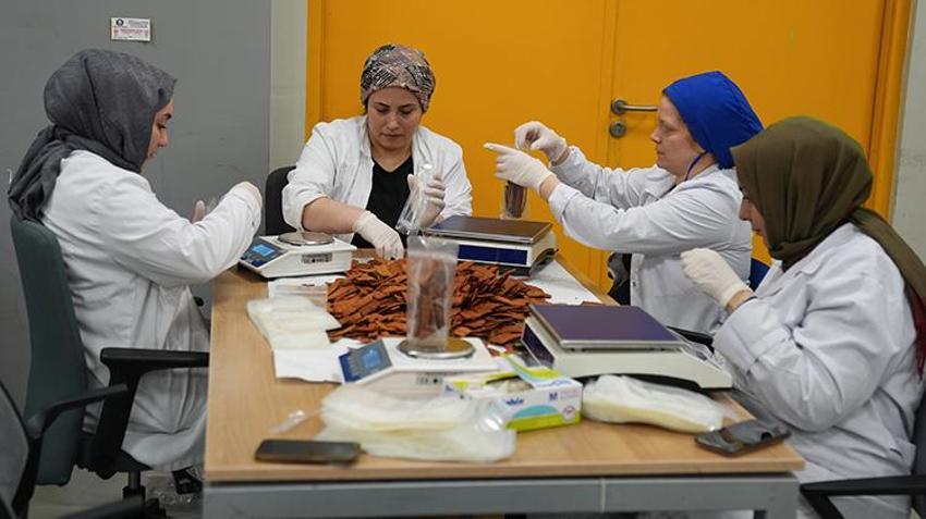 Paça çorbasından cips üretti! Bilim insanının ürettiği cips ve krakerler piyasaya damga vurdu