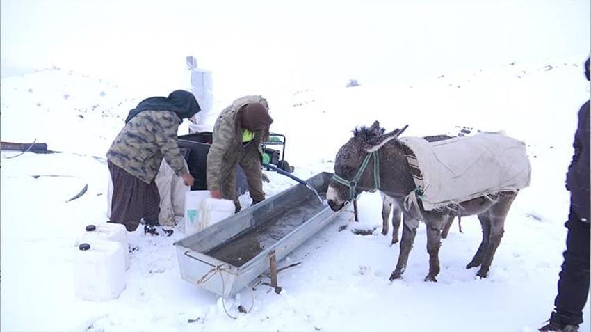 Elazığ'da göçerlerin zorlu yolculuğu! Beyaz örtünün içinde hayvanlarını besliyorlar