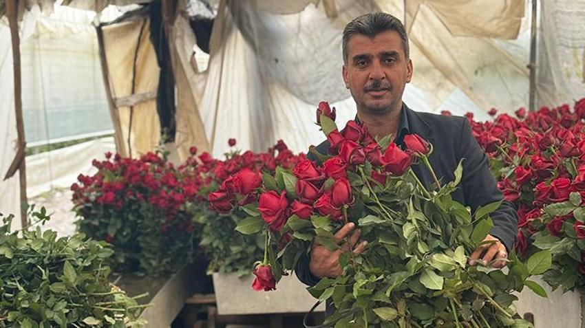 Adana’da 14 Şubat mesaisi! Çiçekçilerin sevgililer günü için çalışmaları sürüyor ‘Çiftler bir buket çiçek için bin lirayı gözden çıkarsın’