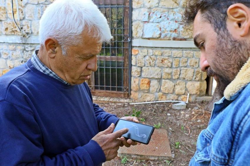 Sadece berrak suda görülebiliyor: İlk defa Antalya Körfezi'nde görüntülendi!