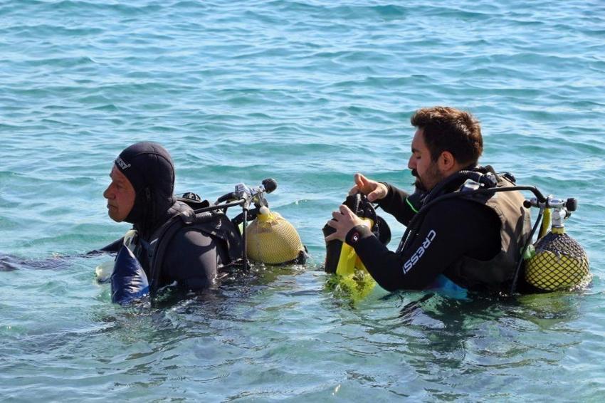 Sadece berrak suda görülebiliyor: İlk defa Antalya Körfezi'nde görüntülendi!