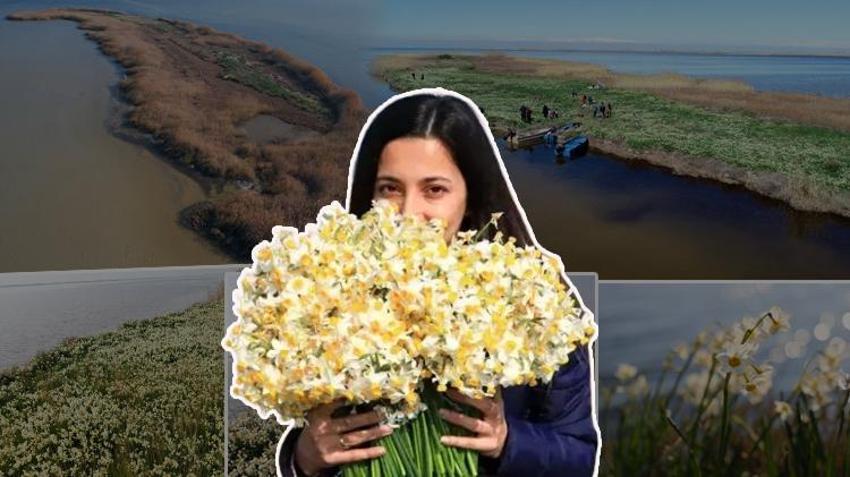 Nergis Adası yok oluyor! 'Bir an önce önlem alınması lazım'