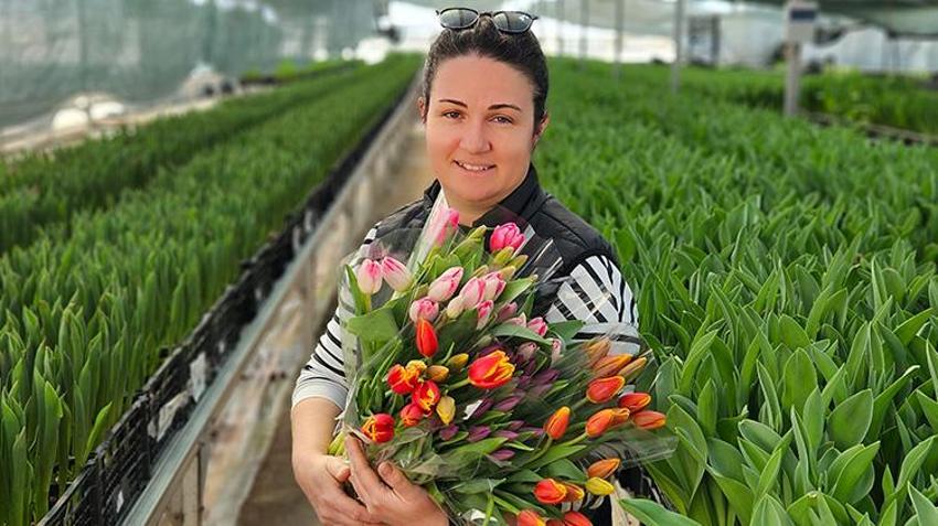 Topraksız tarımla yılda 200 bin lale üretiyor! Antalya'da sadece suda üretilen laleler büyük rağbet görüyor