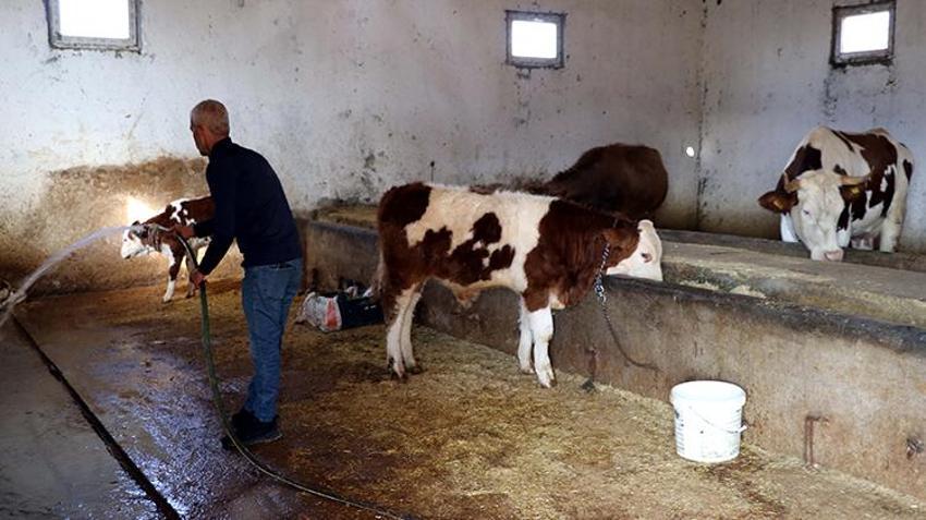 Elazığ'da eski hükümlü işsiz kalınca devletin hibe desteğine başvurdu! Aldığı destekle geçimini sağlıyor