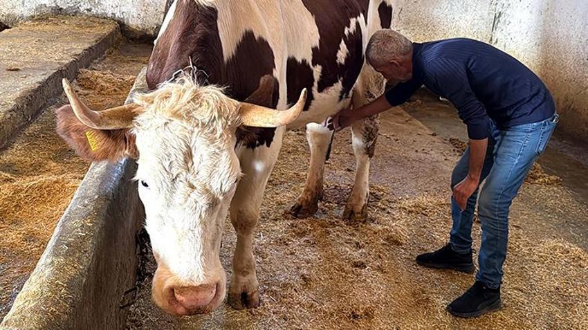 Elazığ'da eski hükümlü işsiz kalınca devletin hibe desteğine başvurdu! Aldığı destekle geçimini sağlıyor