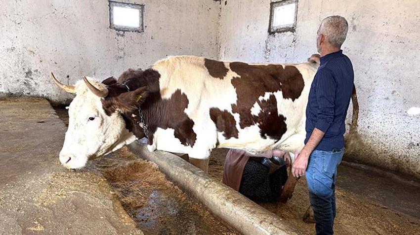 Elazığ'da eski hükümlü işsiz kalınca devletin hibe desteğine başvurdu! Aldığı destekle geçimini sağlıyor