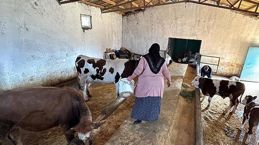 Elazığ'da eski hükümlü işsiz kalınca devletin hibe desteğine başvurdu! Aldığı destekle geçimini sağlıyor