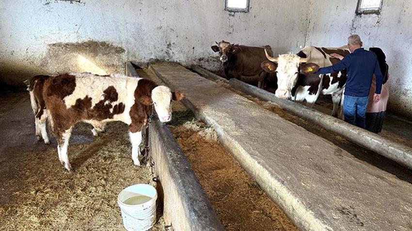 Elazığ'da eski hükümlü işsiz kalınca devletin hibe desteğine başvurdu! Aldığı destekle geçimini sağlıyor