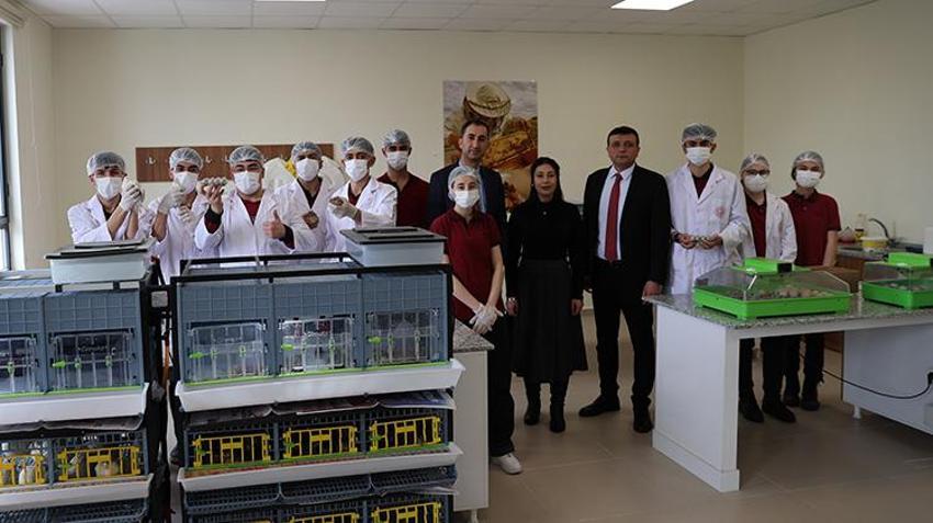 Sivaslı öğrencilerden girişimcilik örneği! Okulda bıldırcın ve yumurta üretiyorlar