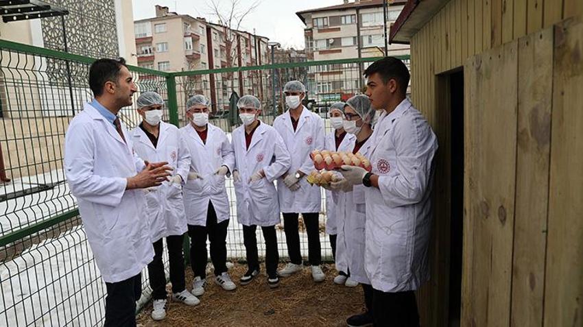 Sivaslı öğrencilerden girişimcilik örneği! Okulda bıldırcın ve yumurta üretiyorlar