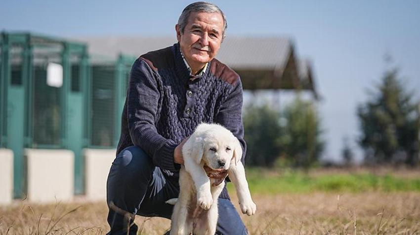 Bu köpekleri satın almak için yüzlerce kişi aylarca sırasını bekliyor! Bursa'daki tesiste bu yıl 250 yavrunun doğması bekleniyor