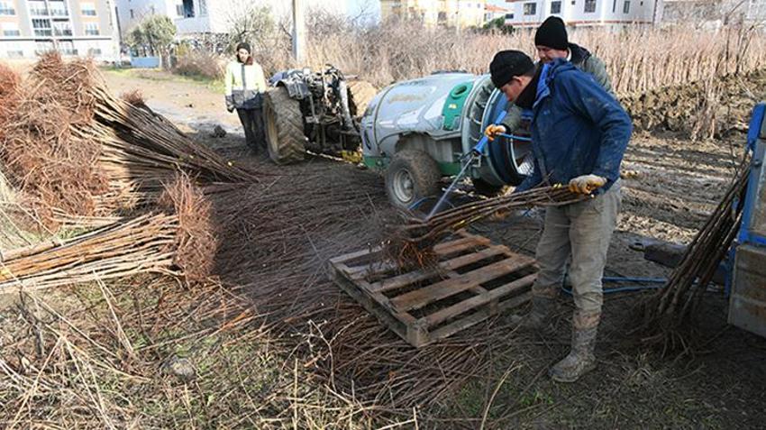5 dönümle başladı, şimdi Çanakkale'nin en büyüğü oldu! Birçok ülkeye binlerce satış yapıyor