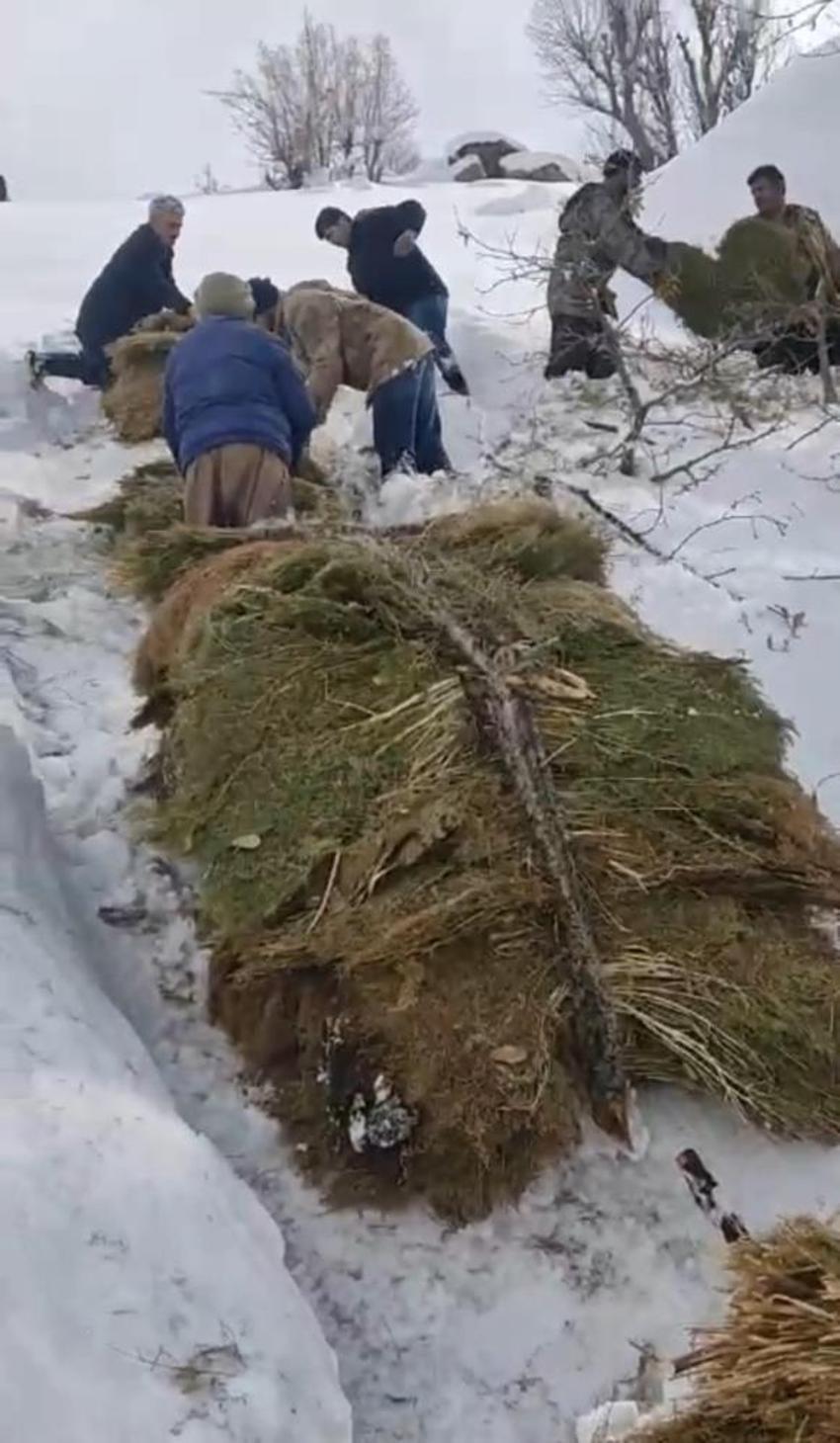 Hakkari'de 30 yıldır aynı yöntem kullanılıyor! 3 bin metreden indiriyorlar